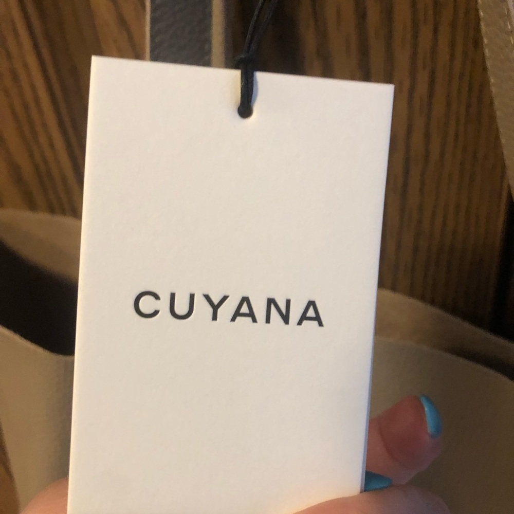 Cuyana leather tote bag